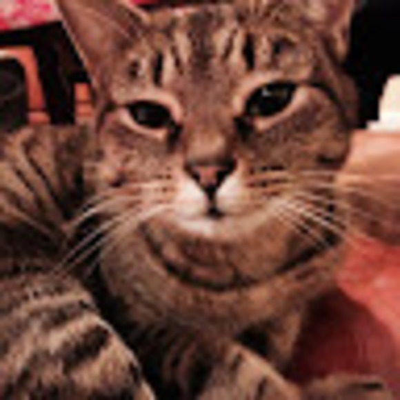 Meet your Posher, Coffee - Picture 1 of 1